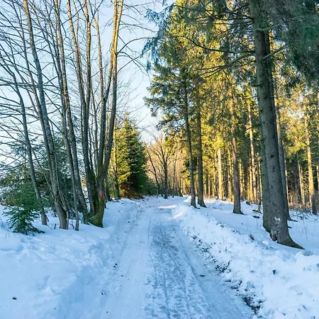 Hébergement de vacances In Neuastenberg Nahe Postwiese