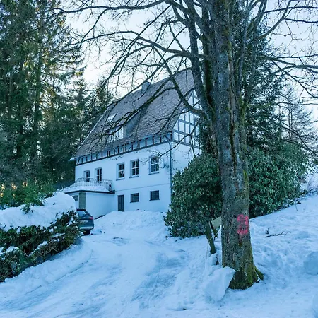 Gemuetliches Chalet An Den Skipisten * Винтерберг