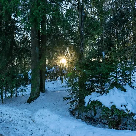 Gemuetliches Chalet An Den Skipisten *