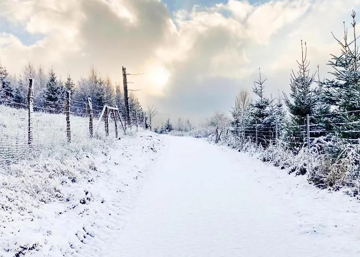 In Neuastenberg Nahe Postwiese 温特贝格