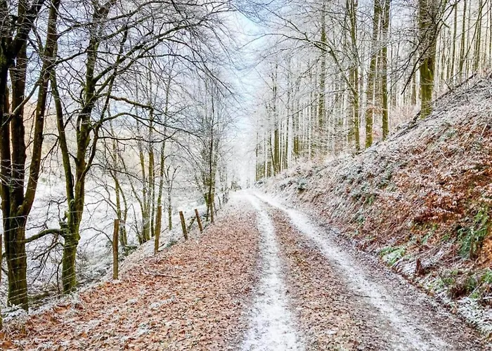 In Neuastenberg Nahe Postwiese 度假居 *