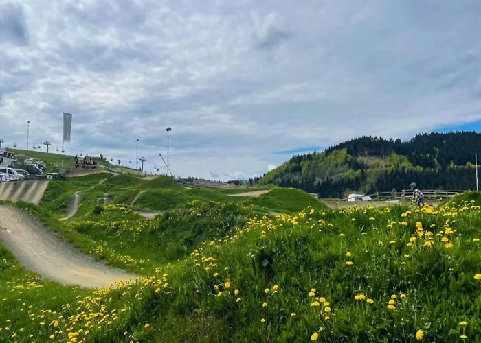 In Neuastenberg Nahe Postwiese * Winterberg