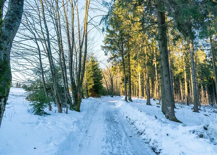 Casa vacanze In Neuastenberg Nahe Postwiese