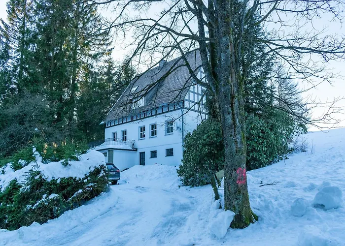 In Neuastenberg Nahe Postwiese * Winterberg