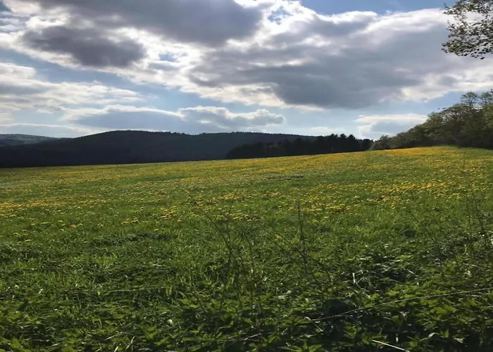 In Neuastenberg Nahe Postwiese Casa vacanze