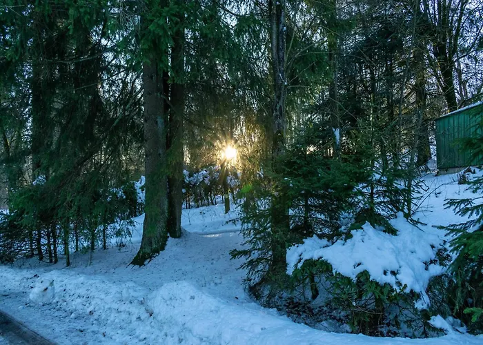 In Neuastenberg Nahe Postwiese *